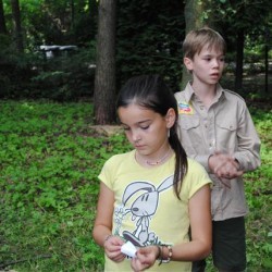 DSC 0187  Small - Scouts en Gidsen Zaventem 